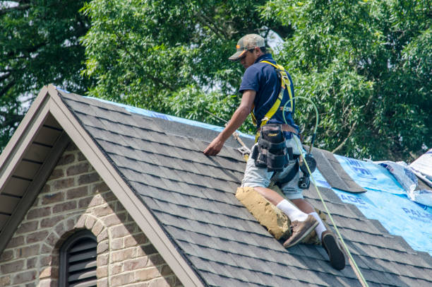 Best Roof Waterproofing Services  in Lake Linden, MI