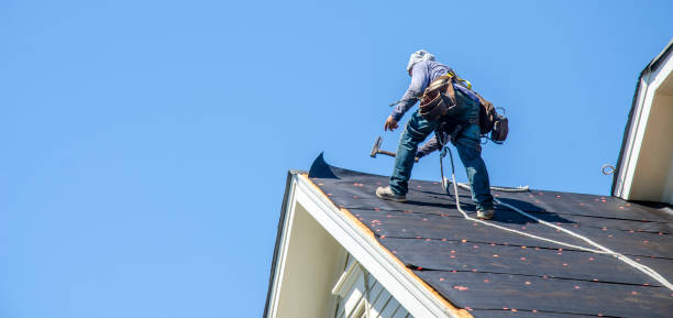 Best Residential Roof Replacement  in Lake Linden, MI